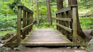 Five Features of Drug Treatment That You Will Love