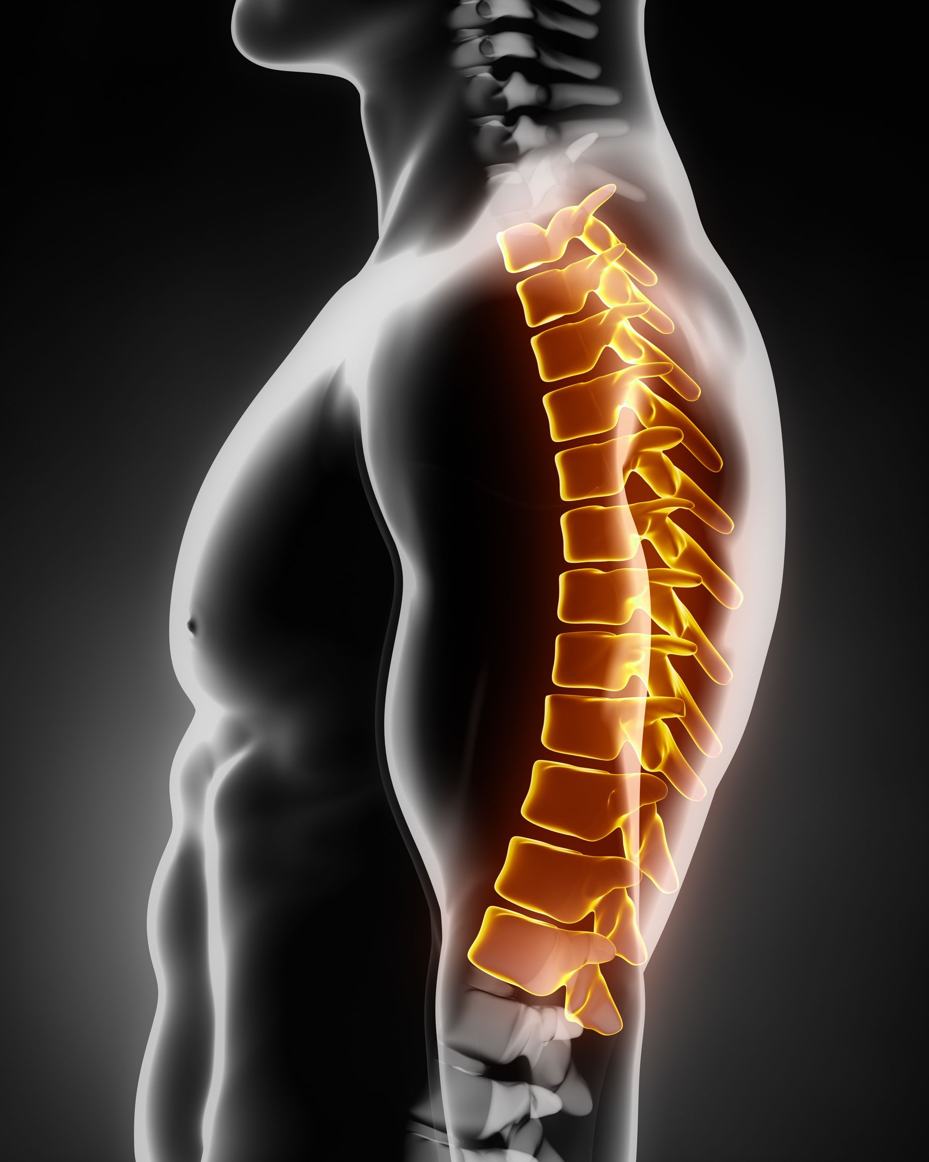 Back Pain in Kingston – Treat from a Professional Chiropractor